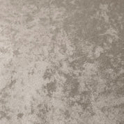 Dining Chair Volante with arm roche beige velvet