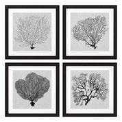 Print Shadow Sea Fans set of 4