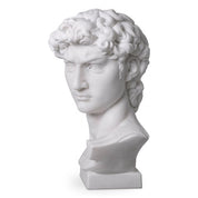 Head David white marble