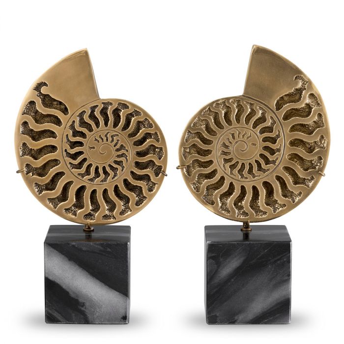 Object Ammonite vintage brass finish set of 2
