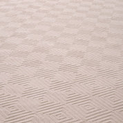 Outdoor Rug Linara beige 300 x 400 cm