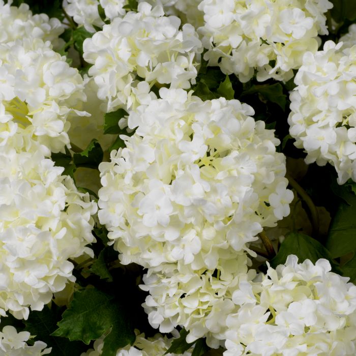 Ramo de Hortensias bola de nieve blanco tacto real 36 uds