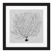 Print Shadow Sea Fans set of 4