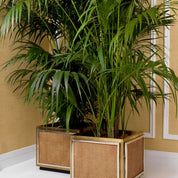 Planter Tropea vintage brass finish