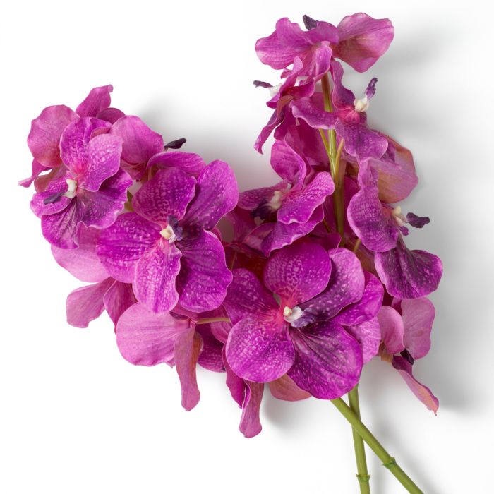 Ramo de Orquídeas Vanda fucsia tacto real 24 piezas