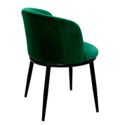 Dining Chair Filmore cameron green set of 2
