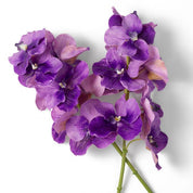 Ramo de Orquídeas Vanda moradas tacto real 24 piezas