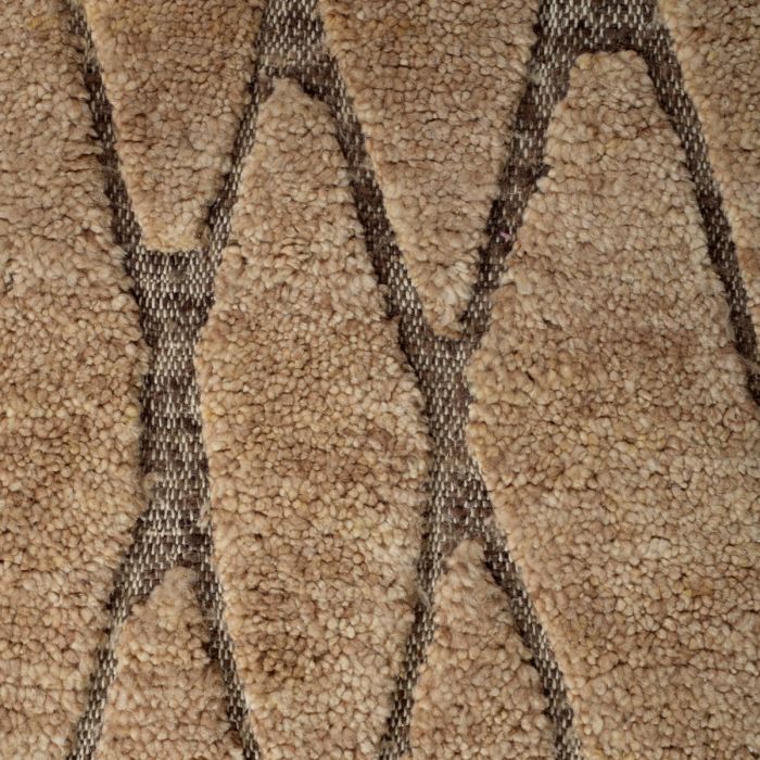 Rug Coralie brown beige 200 x 300 cm