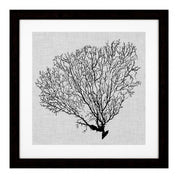 Print Shadow Sea Fans set of 4