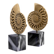 Object Ammonite vintage brass finish set of 2
