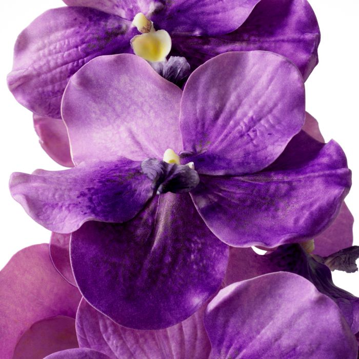 Ramo de Orquídeas Vanda moradas tacto real 24 piezas
