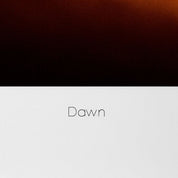 Print Philippe Vogelenzang - Dawn