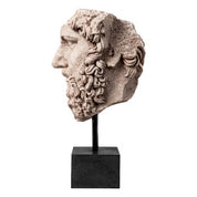 Busto de Lucius Verus aspecto antiguo de mármol