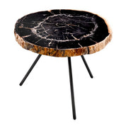 Coffee Table De Soto dark range petrified wood set of 3