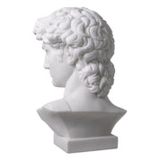 Head David white marble