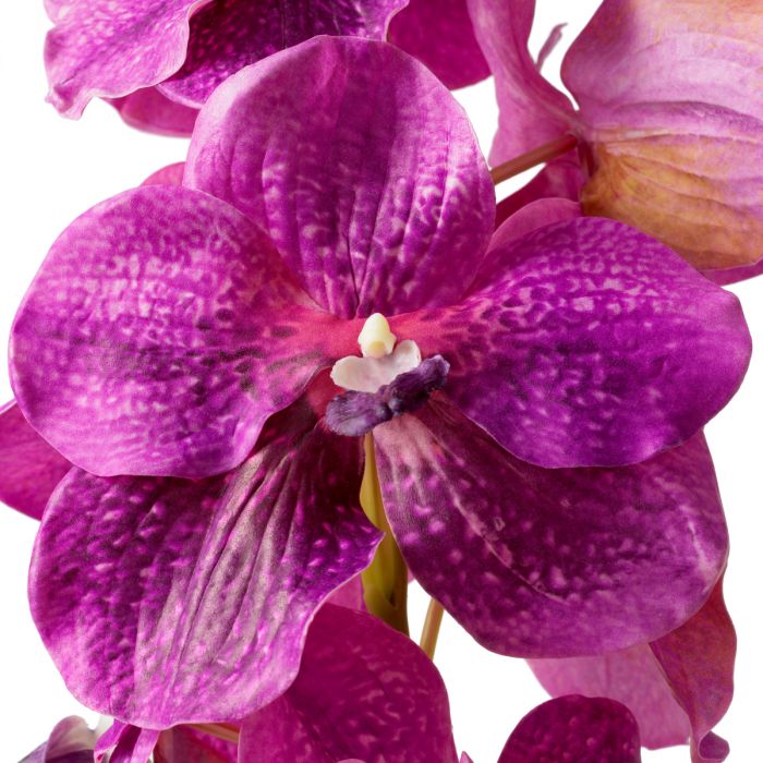 Ramo de Orquídeas Vanda fucsia tacto real 24 piezas