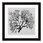 Print Shadow Sea Fans set of 4