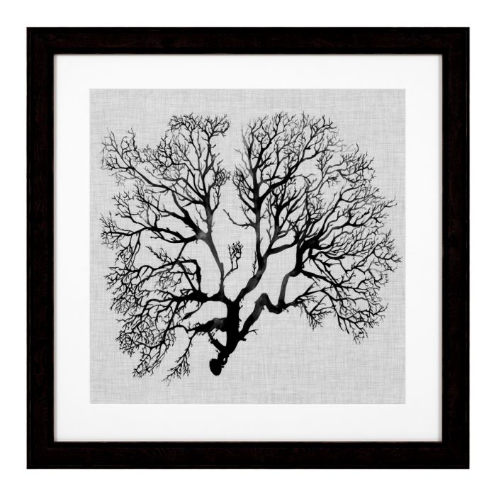 Print Shadow Sea Fans set of 4
