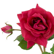 Bouquet of Roses multi color real touch 72 pcs/3 varieties