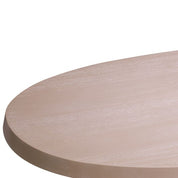 Coffee Table Prelude washed finish