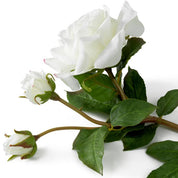 Ramo de Rosas bicolor blanco tacto real 72 uds/2 variedades