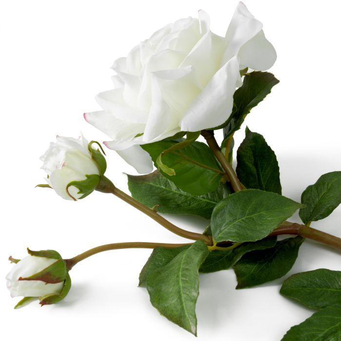 Ramo de Rosas bicolor blanco tacto real 72 uds/2 variedades