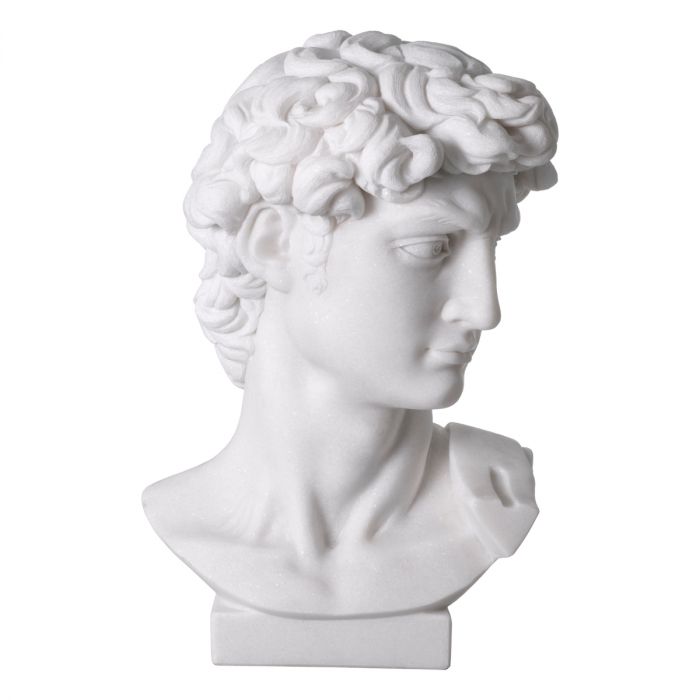 Head David white marble