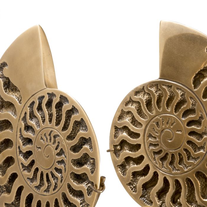 Object Ammonite vintage brass finish set of 2