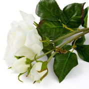 Bouquet of Roses three tone white real touch 72 pcs/3 varieties
