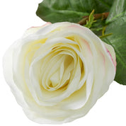 Ramo de Rosas bicolor blanco tacto real 72 uds/2 variedades