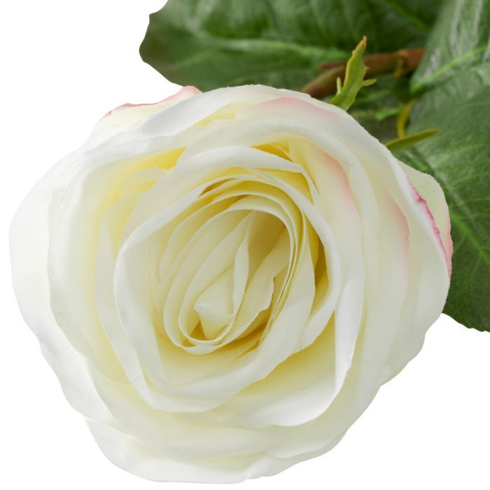 Ramo de Rosas bicolor blanco tacto real 72 uds/2 variedades