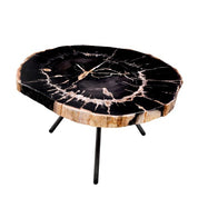 Coffee Table De Soto dark range petrified wood set of 3