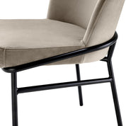 Dining Chair Willis savona greige velvet set of 2