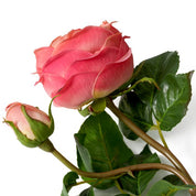 Ramo de Rosas tacto real tricolor melocotón 72 piezas/3 variedades