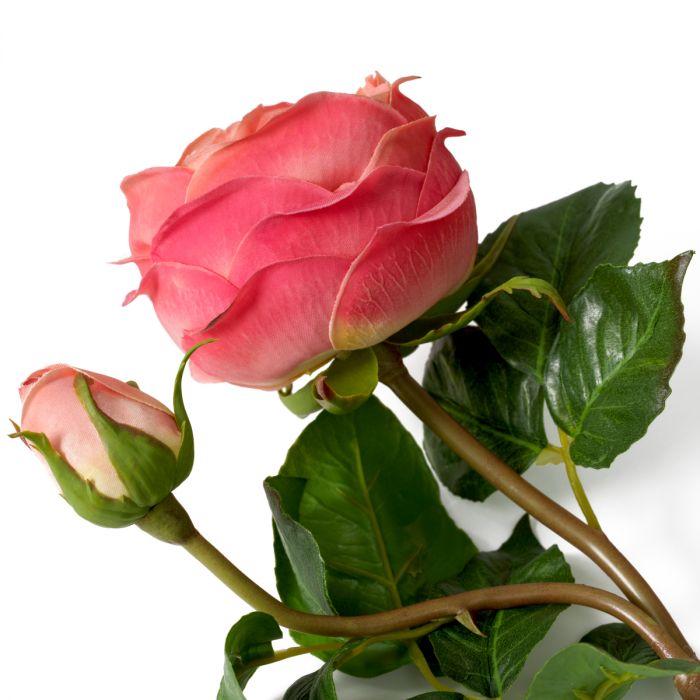 Ramo de Rosas tacto real tricolor melocotón 72 piezas/3 variedades