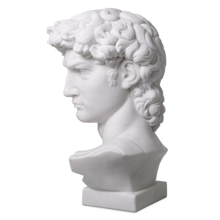 Head David white marble