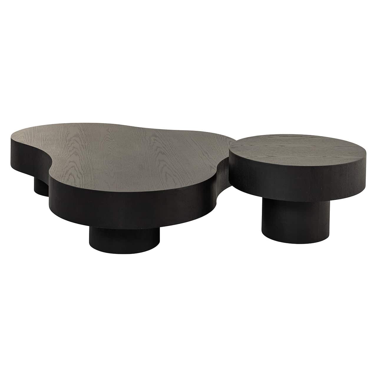 Mesa de centro Bogor juego de 2 café oscuro (café oscuro)
