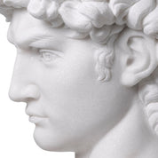 Head David white marble