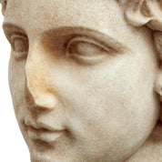 Bust of a youth marble