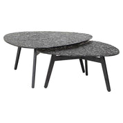 Mesa de centro Riley, juego de 2
