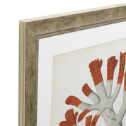 Print Antique Red Corals set of 6