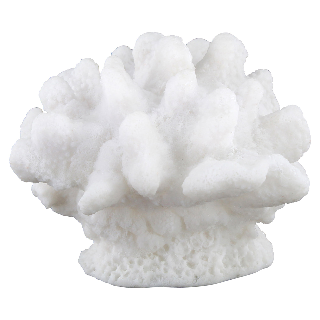 Faux coral Mare (White)