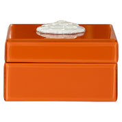 Storage box Lunia orange