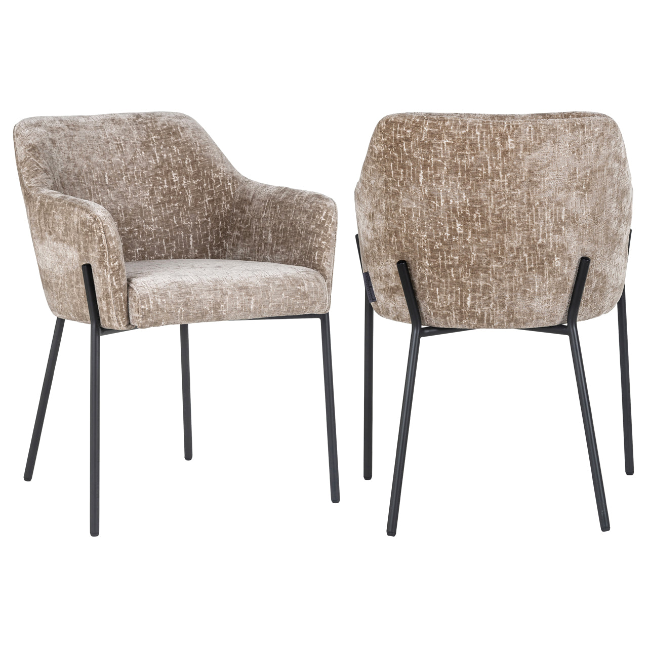 Dining chair Fay shitake island