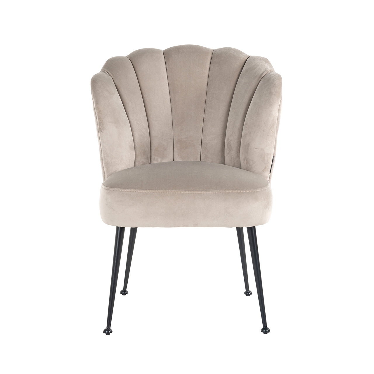Chair Pippa khaki velvet / black (Quartz Khaki 903)